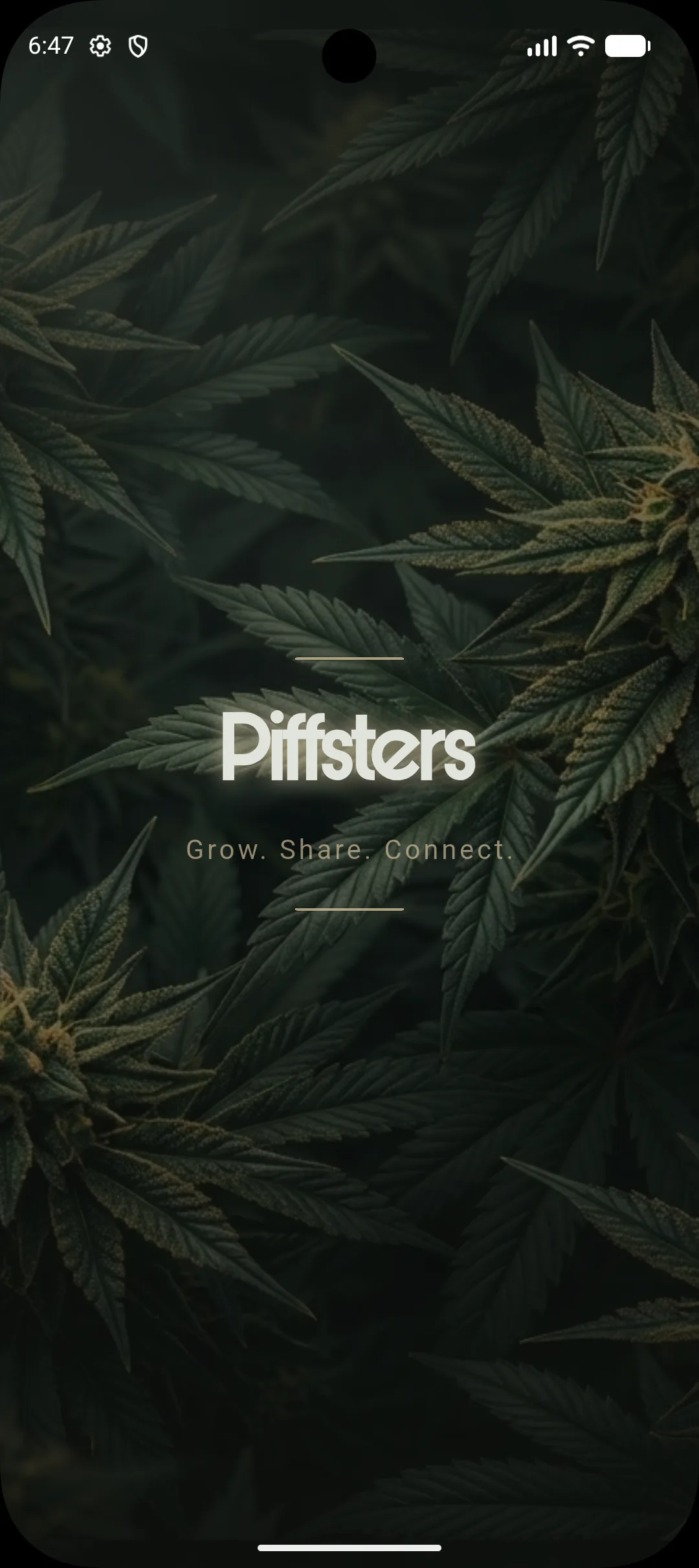 Piffsters screenshot 1